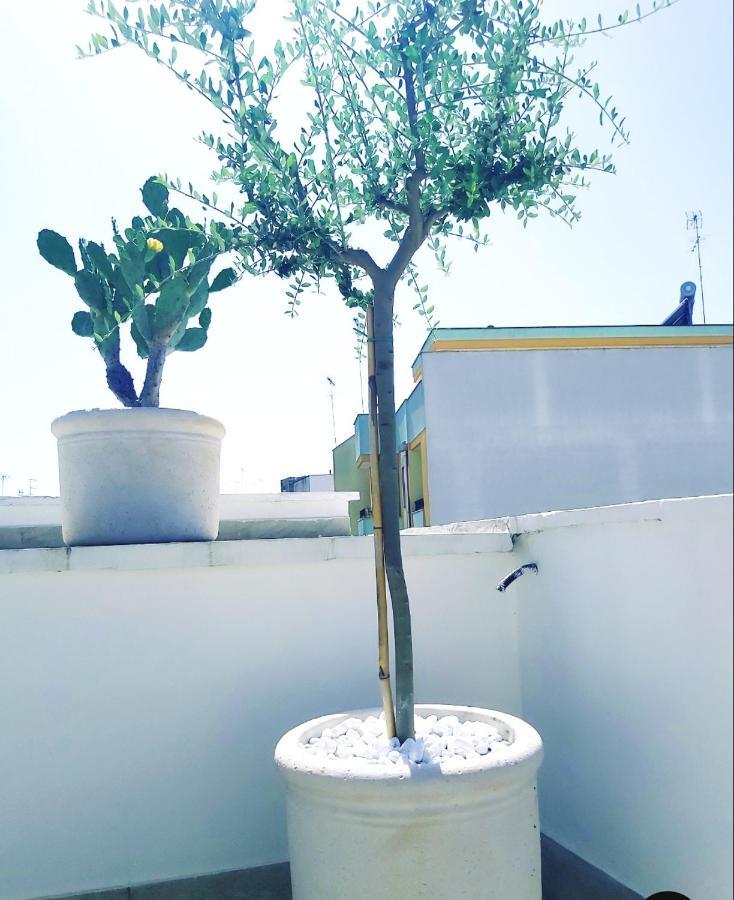 Apartmán Dimora Asmara 11 15 Brindisi Exteriér fotografie